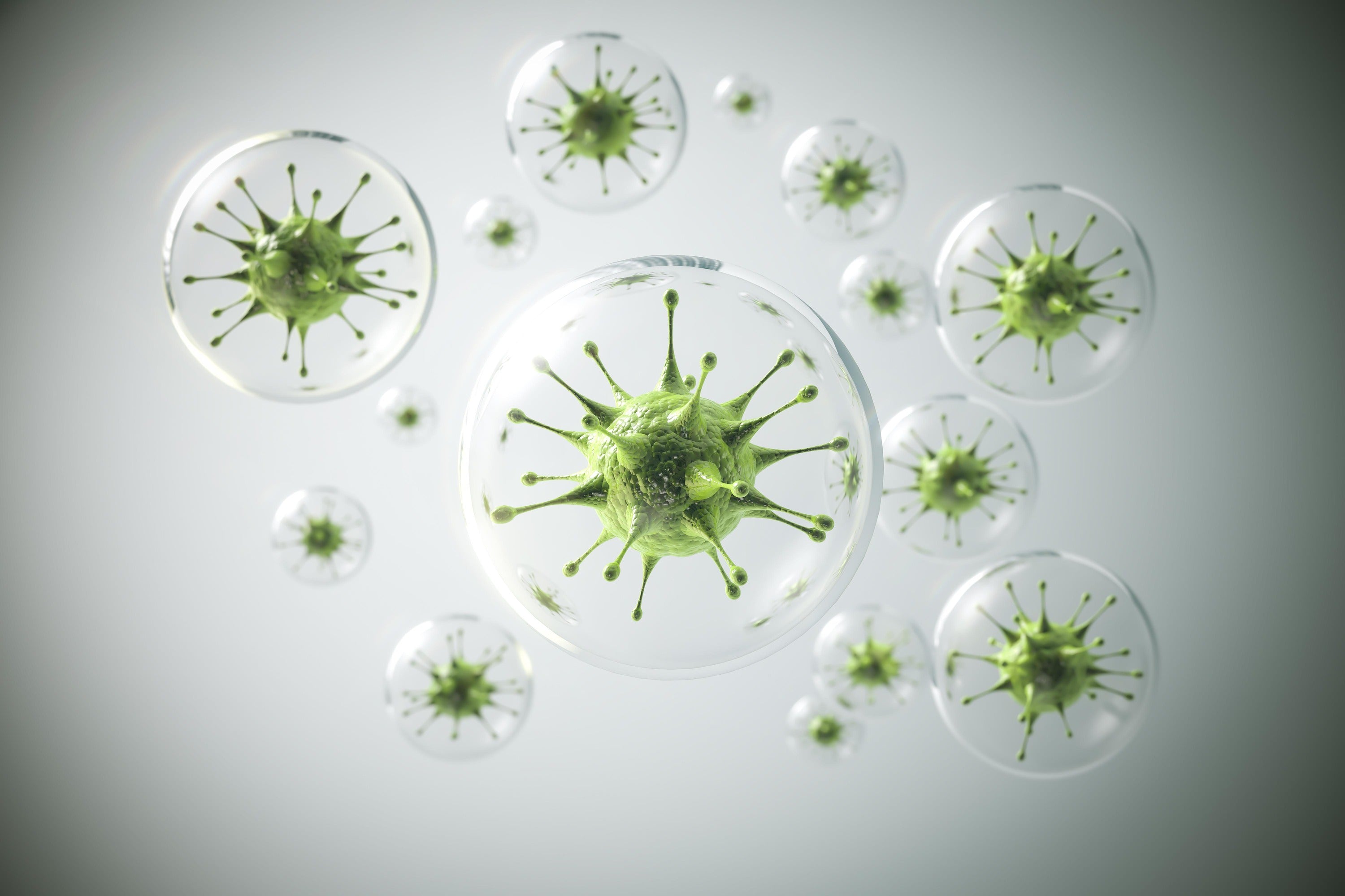 Can Anti-Viral Screen Protectors Be the New Normal in a Post-Pandemic ...